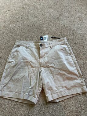 Chubbies chino shorts